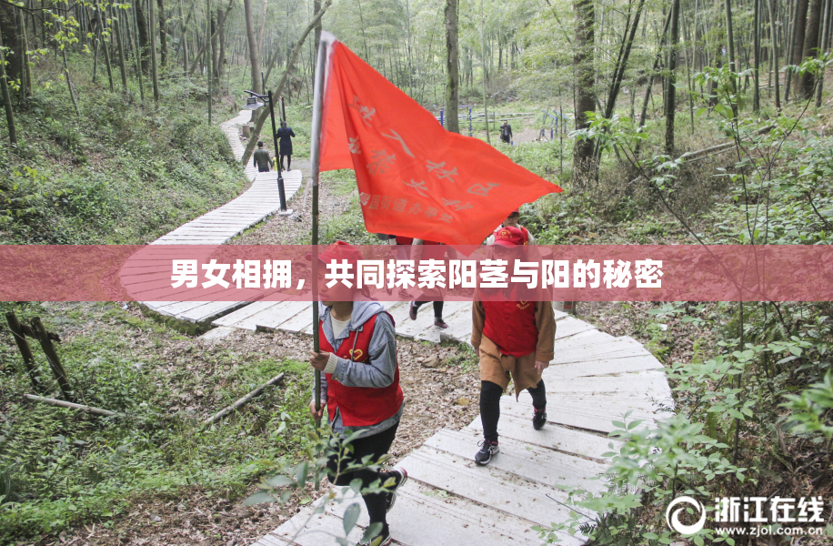 男女相拥，共同探索阳茎与阳的秘密
