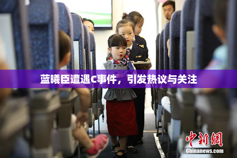 蓝曦臣遭遇C事件，引发热议与关注
