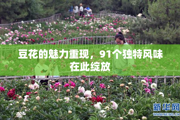 豆花的魅力重现，91个独特风味在此绽放