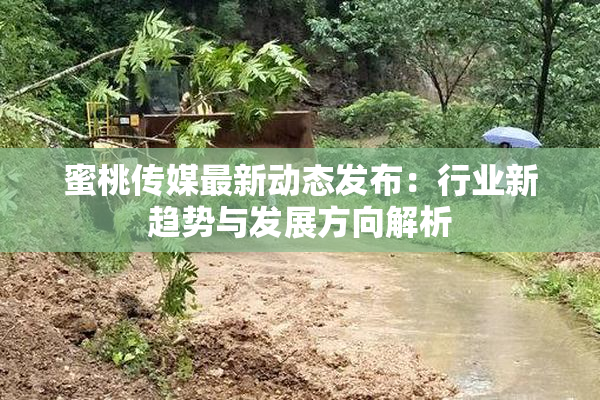 蜜桃传媒最新动态发布：行业新趋势与发展方向解析