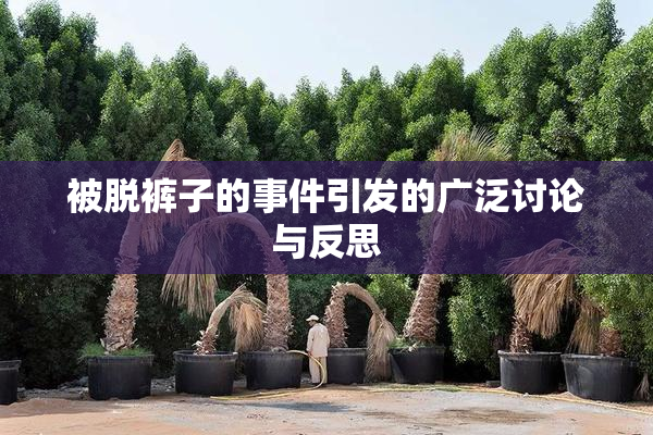 被脱裤子的事件引发的广泛讨论与反思