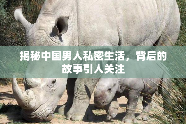 揭秘中国男人私密生活，背后的故事引人关注