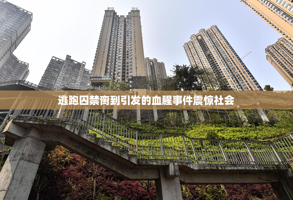 逃跑囚禁脔到引发的血腥事件震惊社会
