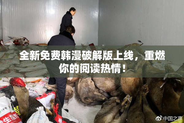 全新免费韩漫破解版上线，重燃你的阅读热情！