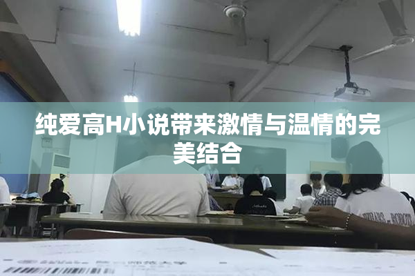 纯爱高H小说带来激情与温情的完美结合