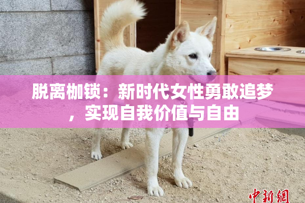 脱离枷锁：新时代女性勇敢追梦，实现自我价值与自由