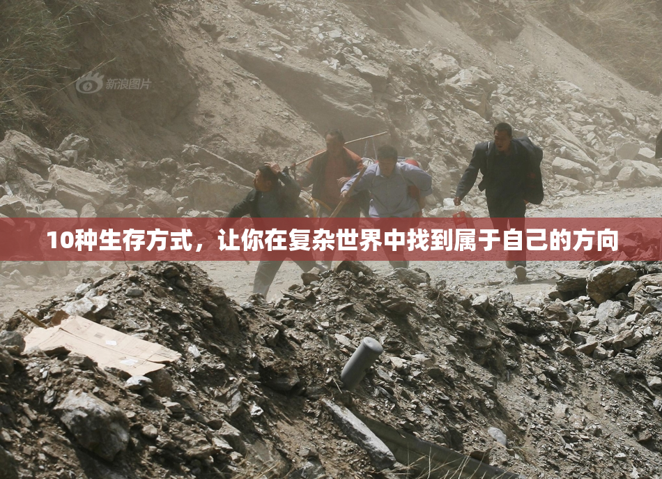 10种生存方式，让你在复杂世界中找到属于自己的方向