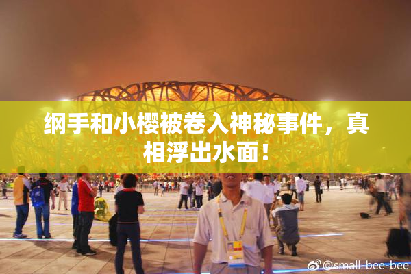 纲手和小樱被卷入神秘事件，真相浮出水面！