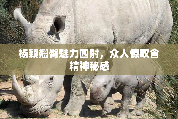 杨颖翘臀魅力四射，众人惊叹含精神秘感