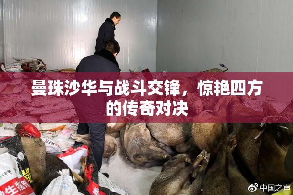 曼珠沙华与战斗交锋，惊艳四方的传奇对决