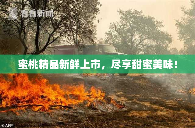 蜜桃精品新鲜上市，尽享甜蜜美味！