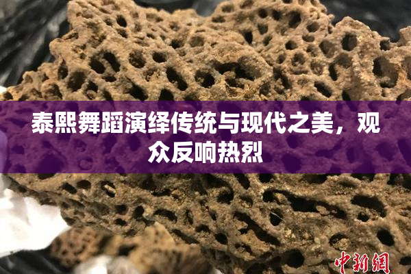 泰熙舞蹈演绎传统与现代之美，观众反响热烈