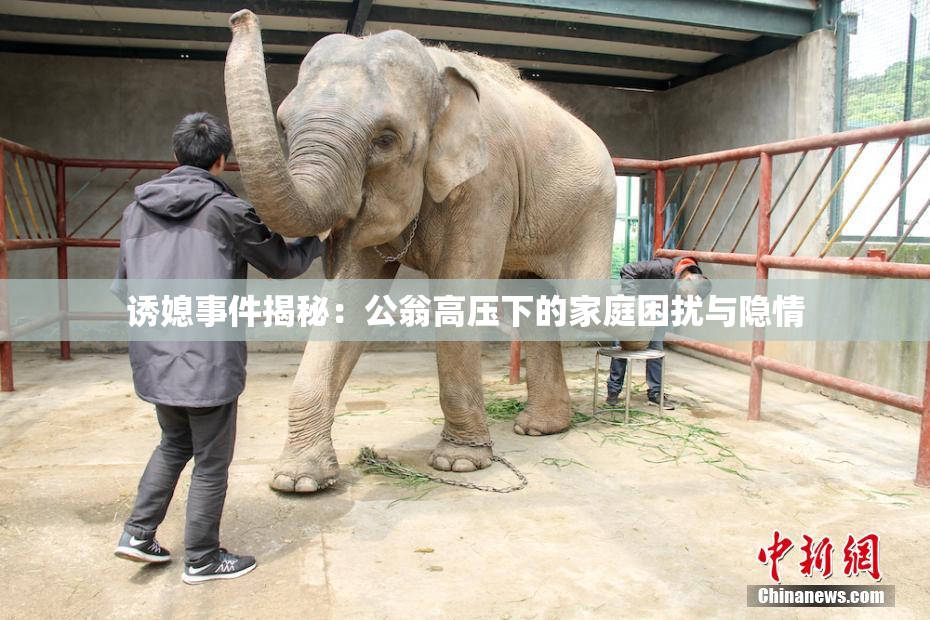 诱媳事件揭秘：公翁高压下的家庭困扰与隐情