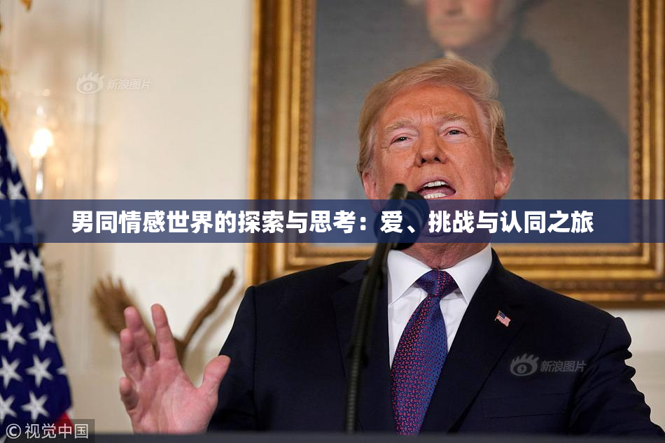 男同情感世界的探索与思考：爱、挑战与认同之旅