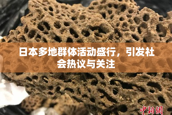 日本多地群体活动盛行，引发社会热议与关注