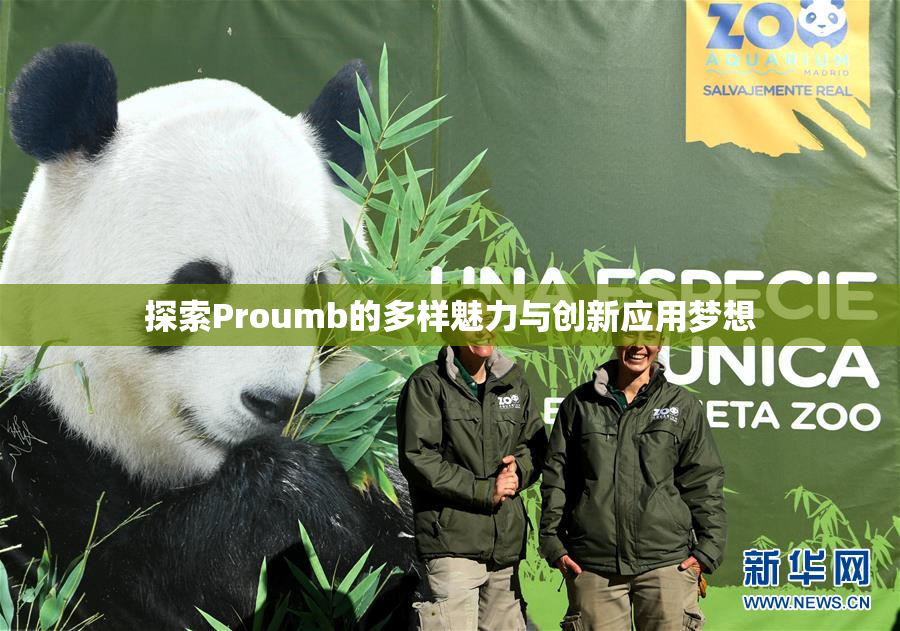 探索Proumb的多样魅力与创新应用梦想