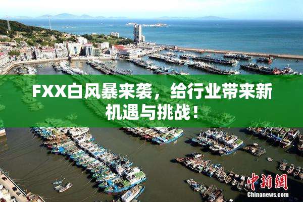FXX白风暴来袭，给行业带来新机遇与挑战！