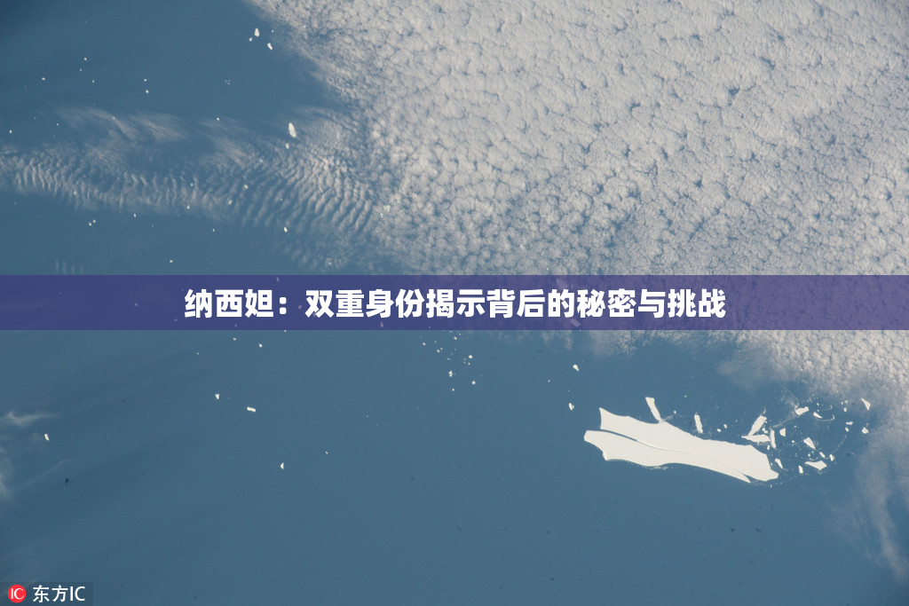 纳西妲：双重身份揭示背后的秘密与挑战