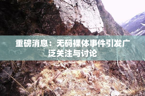重磅消息：无码裸体事件引发广泛关注与讨论