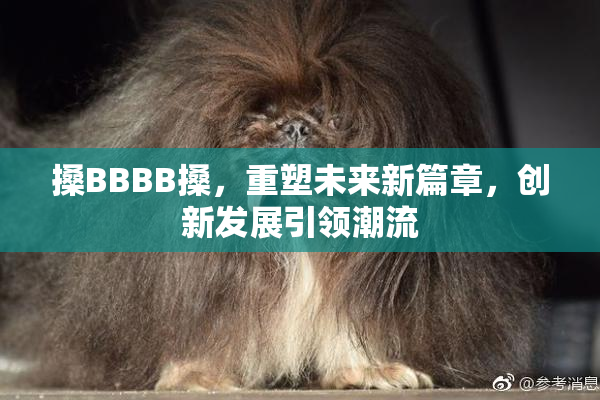 搡BBBB搡，重塑未来新篇章，创新发展引领潮流
