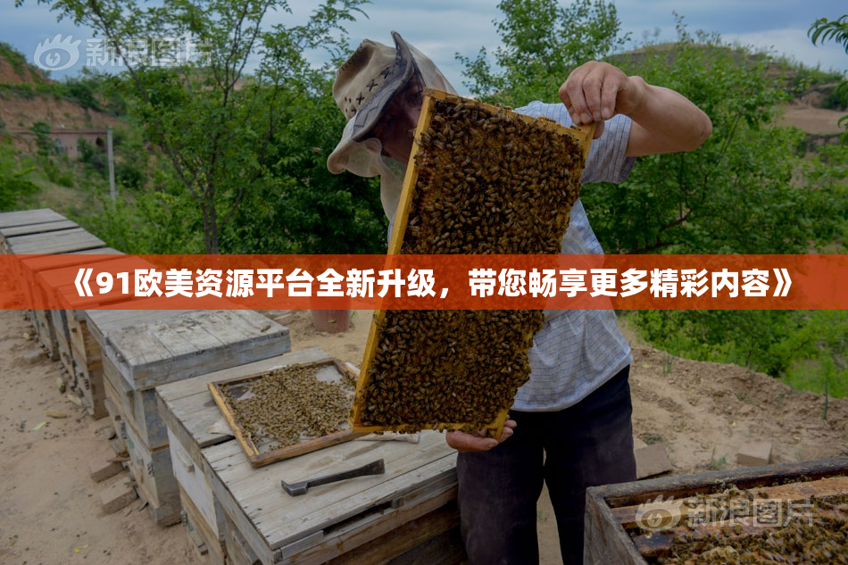 《91欧美资源平台全新升级，带您畅享更多精彩内容》