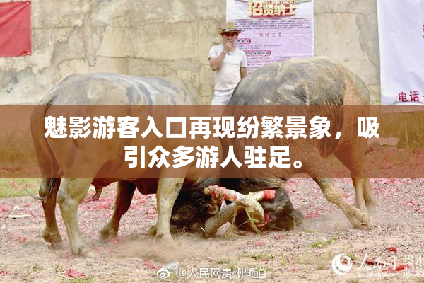魅影游客入口再现纷繁景象，吸引众多游人驻足。