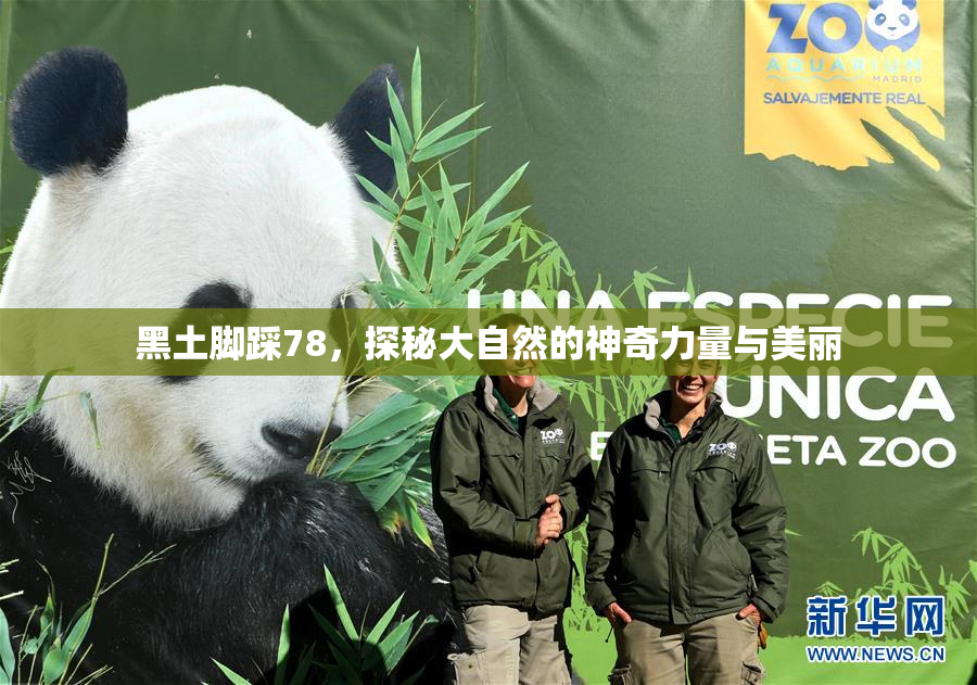 黑土脚踩78，探秘大自然的神奇力量与美丽
