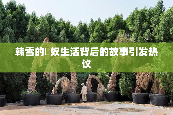 韩雪的婬奴生活背后的故事引发热议