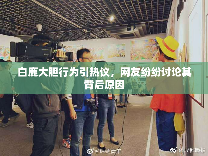 白鹿大胆行为引热议，网友纷纷讨论其背后原因