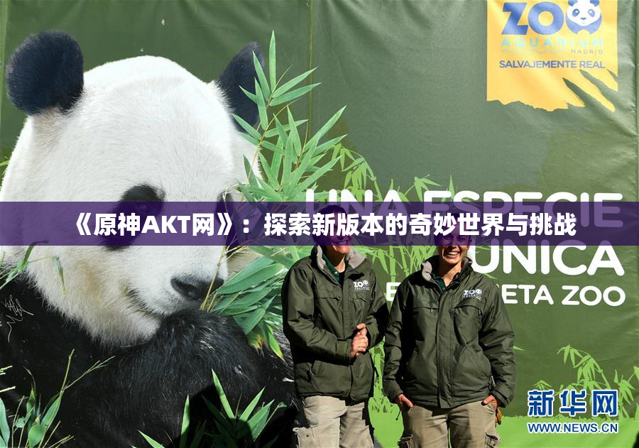 《原神AKT网》：探索新版本的奇妙世界与挑战