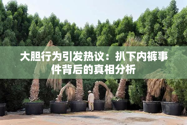 大胆行为引发热议：扒下内裤事件背后的真相分析