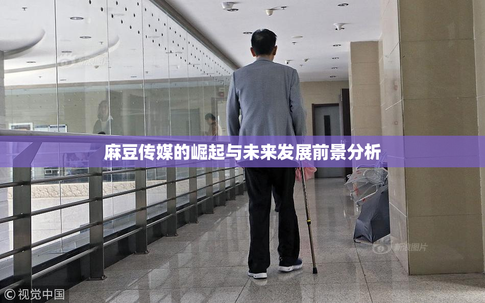麻豆传媒的崛起与未来发展前景分析