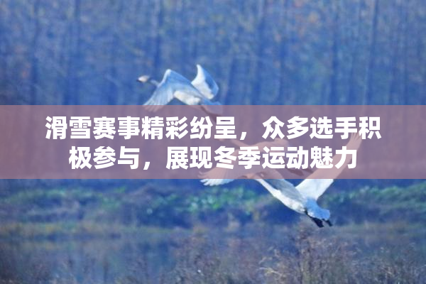 滑雪赛事精彩纷呈，众多选手积极参与，展现冬季运动魅力