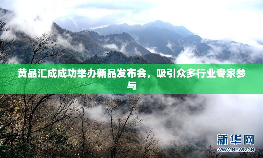 黄品汇成成功举办新品发布会，吸引众多行业专家参与