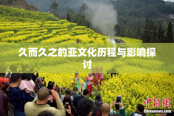 久而久之的亚文化历程与影响探讨