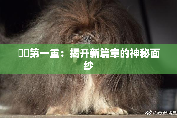 妺妺第一重：揭开新篇章的神秘面纱