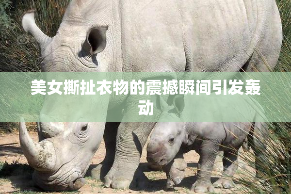 美女撕扯衣物的震撼瞬间引发轰动