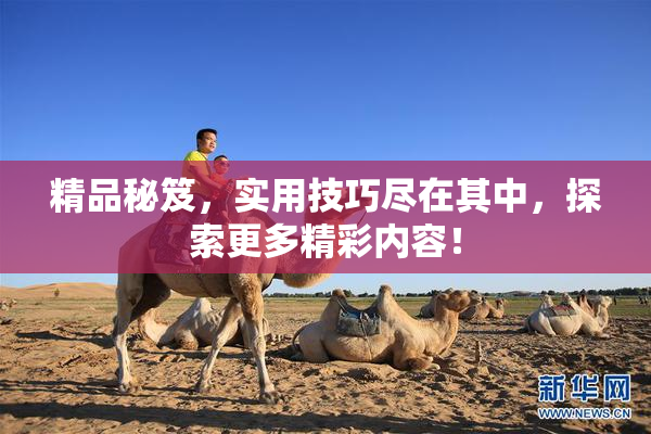精品秘笈，实用技巧尽在其中，探索更多精彩内容！