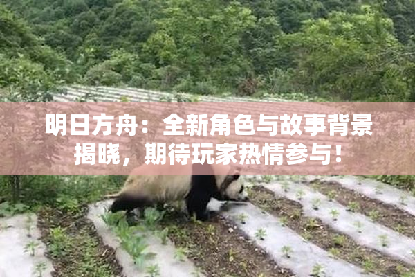 明日方舟：全新角色与故事背景揭晓，期待玩家热情参与！