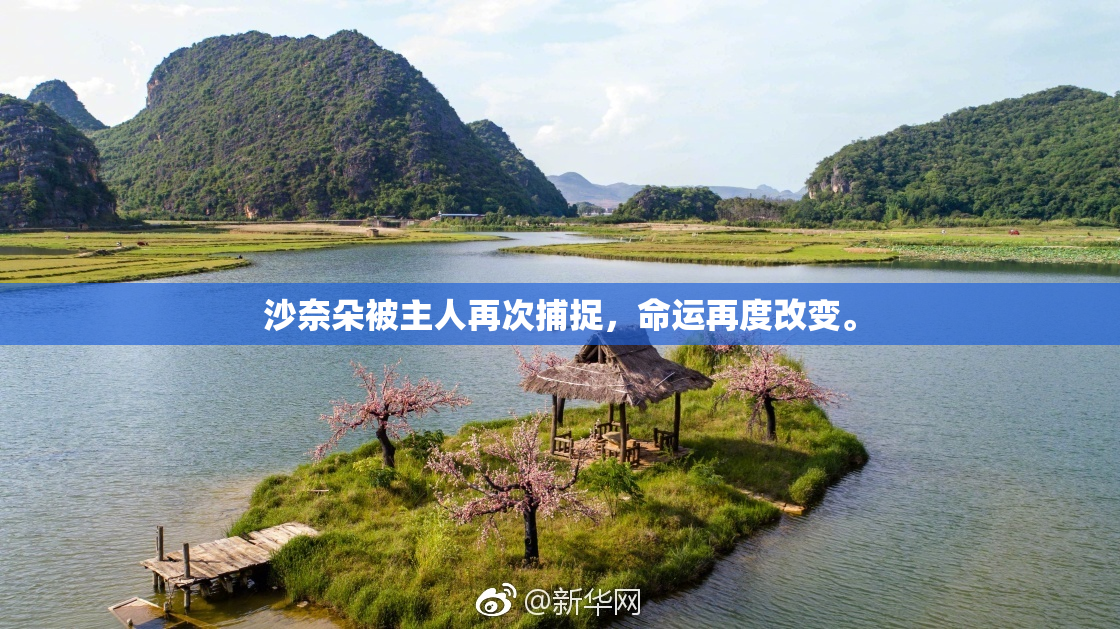 沙奈朵被主人再次捕捉，命运再度改变。