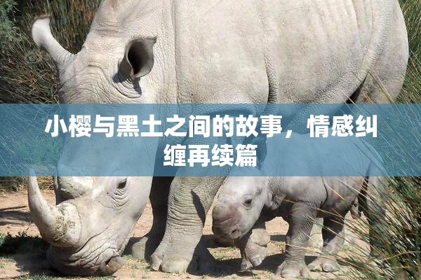 小樱与黑土之间的故事，情感纠缠再续篇