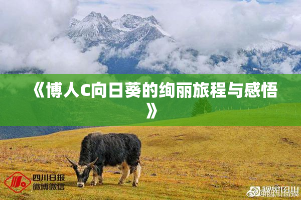 《博人C向日葵的绚丽旅程与感悟》