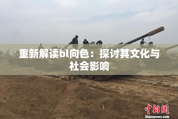 重新解读bl向色：探讨其文化与社会影响