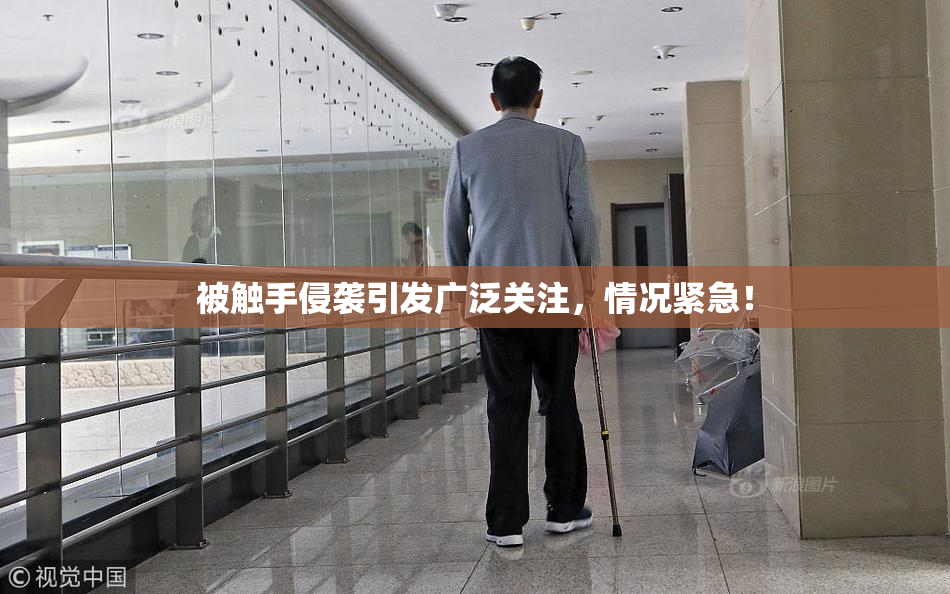 被触手侵袭引发广泛关注，情况紧急！