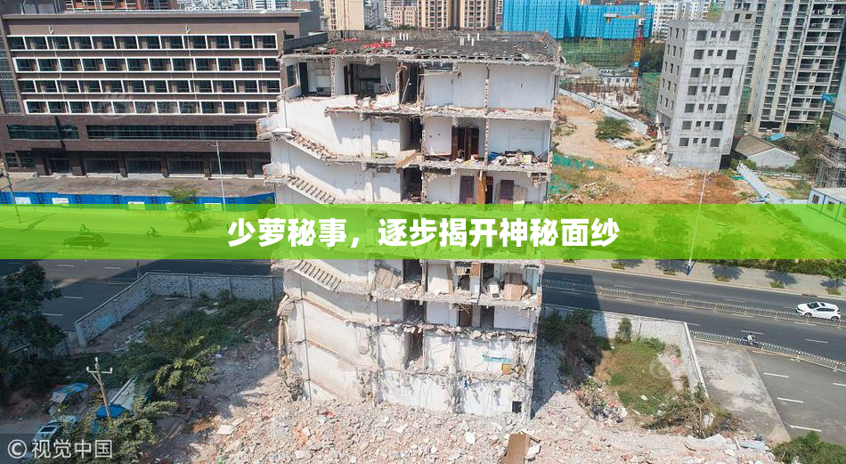 少萝秘事，逐步揭开神秘面纱