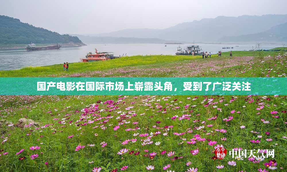 国产电影在国际市场上崭露头角，受到了广泛关注