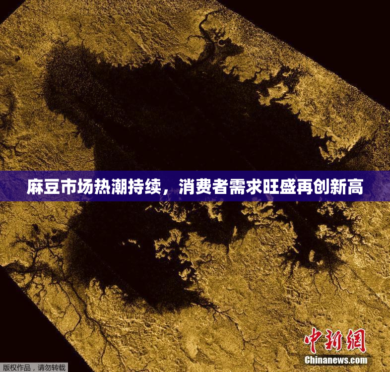 麻豆市场热潮持续，消费者需求旺盛再创新高