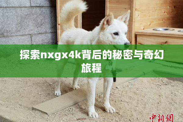 探索nxgx4k背后的秘密与奇幻旅程