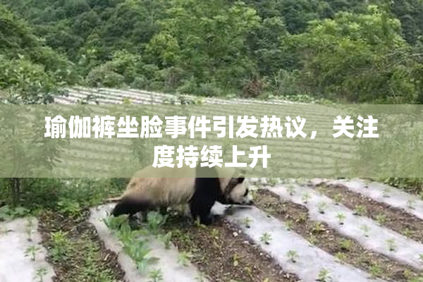 瑜伽裤坐脸事件引发热议，关注度持续上升