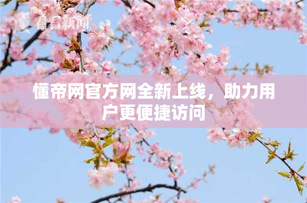 懂帝网官方网全新上线，助力用户更便捷访问